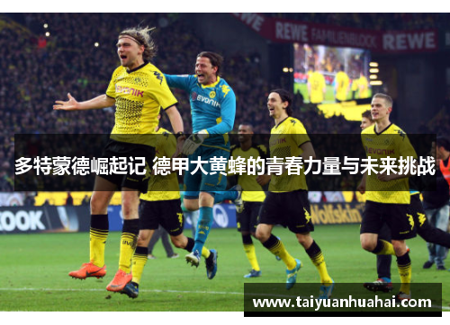 多特蒙德崛起记 德甲大黄蜂的青春力量与未来挑战 多特蒙德崛起记 德甲大黄蜂的青春力量与未来挑战